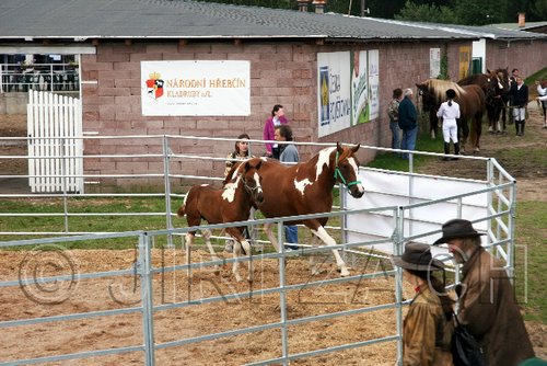 Par06_0035.jpg