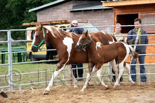 Par06_0042.jpg