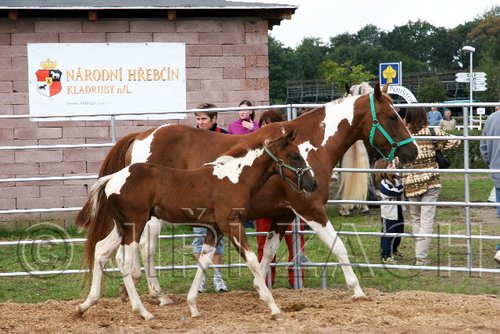 Par06_0044.jpg