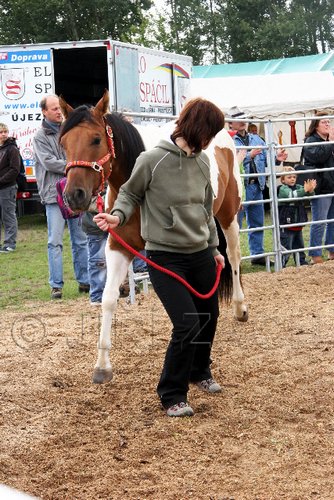 Par06_0081.jpg