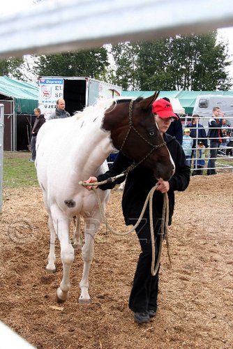 Par06_0086.jpg