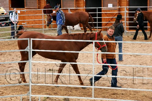 Par06_0110.jpg