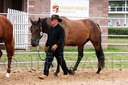 Par06_0127.jpg