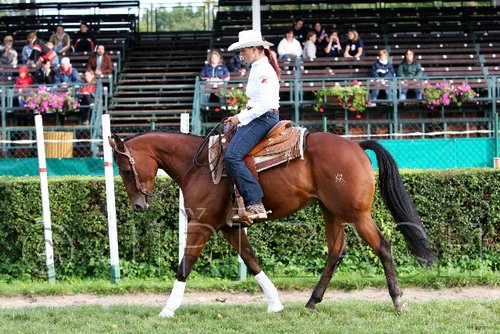 Par06_0188.jpg