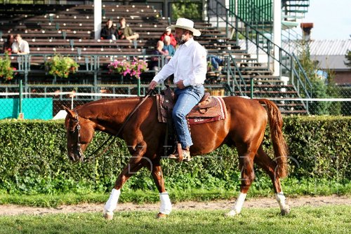 Par06_0191.jpg