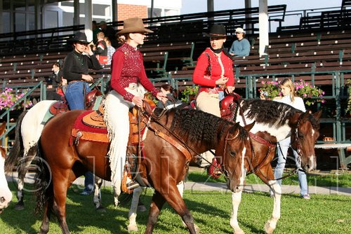 Par06_0247.jpg