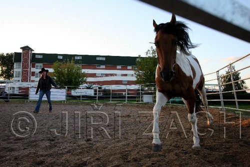 Par06_0260.jpg