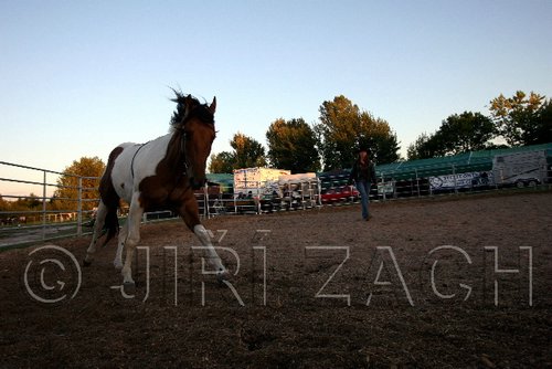 Par06_0263.jpg