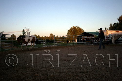 Par06_0264.jpg