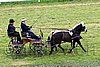 Par06_0008.jpg