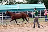 Par06_0027.jpg