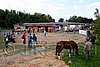 Par06_0031.jpg