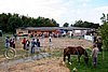 Par06_0032.jpg
