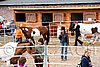 Par06_0078.jpg