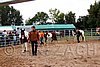 Par06_0088.jpg