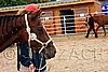 Par06_0105.jpg