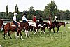 Par06_0163.jpg
