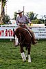 Par06_0226.jpg