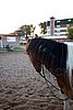 Par06_0258.jpg