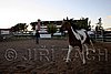 Par06_0267.jpg