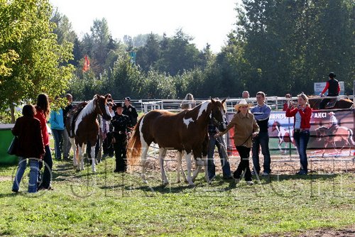 Par06_0280.jpg