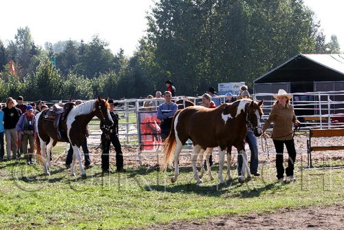 Par06_0281.jpg