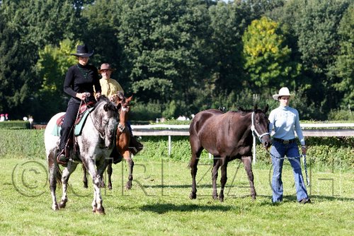 Par06_0301.jpg