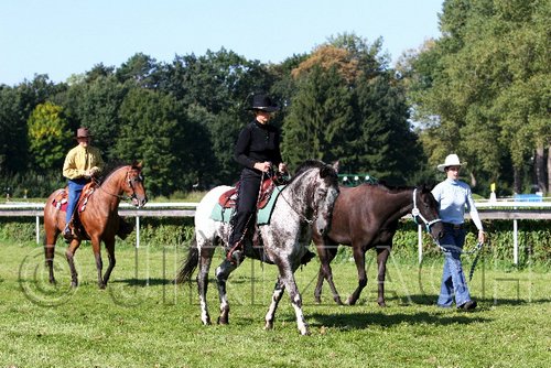 Par06_0302.jpg