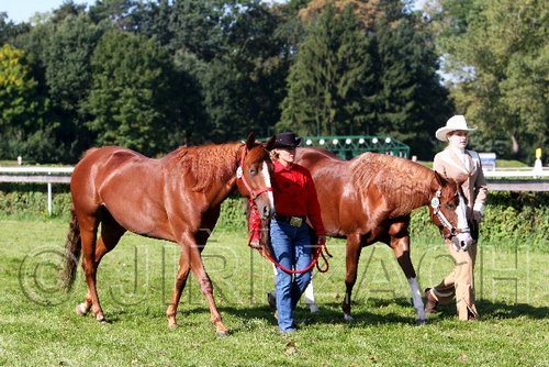 Par06_0309.jpg