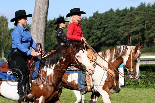 Par06_0314.jpg