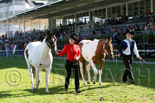 Par06_0356.jpg