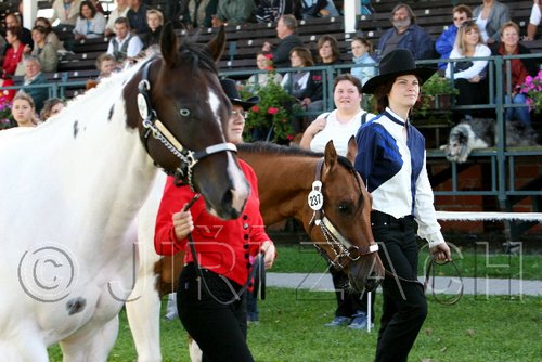 Par06_0359.jpg