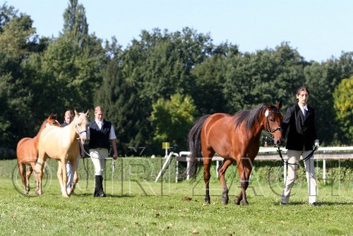 Par06_0377.jpg