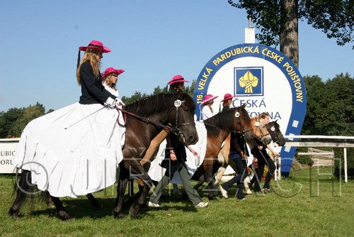 Par06_0384.jpg