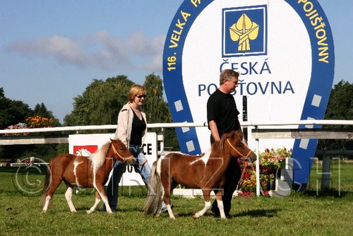 Par06_0387.jpg