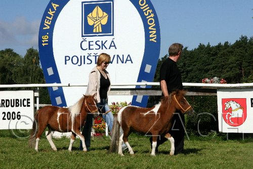 Par06_0388.jpg