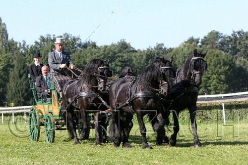 Par06_0392.jpg