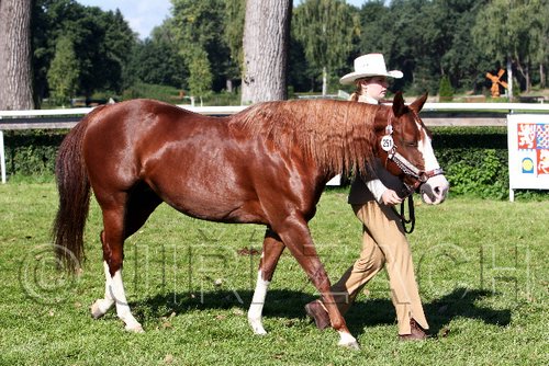 Par06_0399.jpg