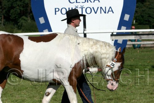 Par06_0403.jpg