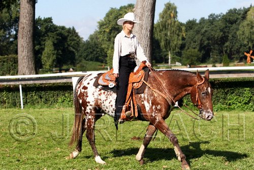 Par06_0405.jpg