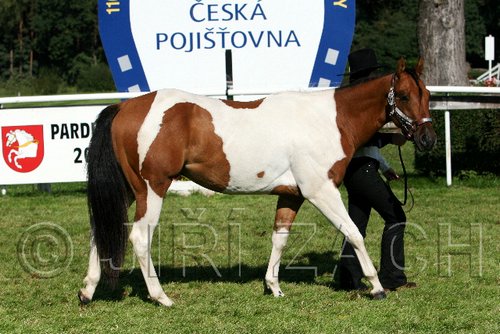 Par06_0423.jpg