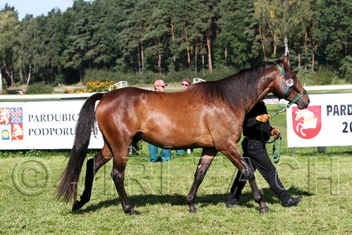 Par06_0430.jpg