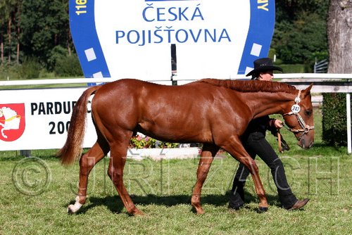 Par06_0434.jpg