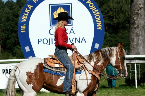 Par06_0437.jpg