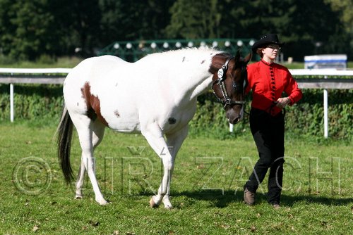 Par06_0440.jpg