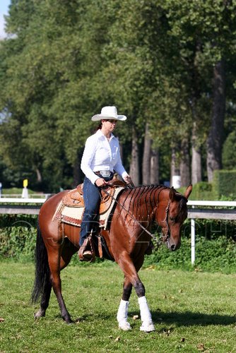 Par06_0444.jpg