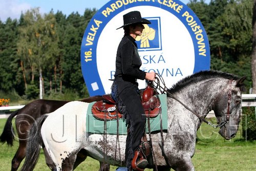 Par06_0457.jpg