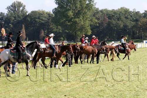 Par06_0459.jpg