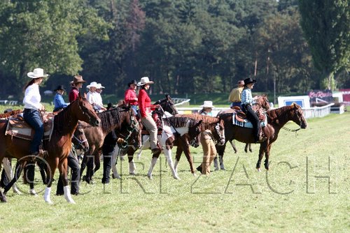Par06_0460.jpg