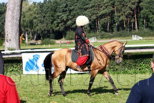 Par06_0468.jpg